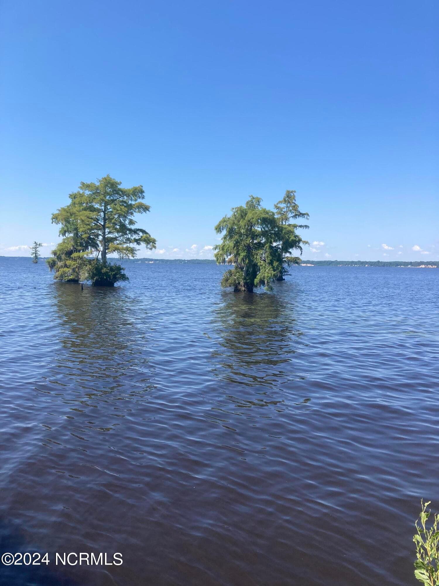 Undeveloped at 3047 Bass Landing Road, Edenton, NC 27932, Edenton, photo 5 of 19