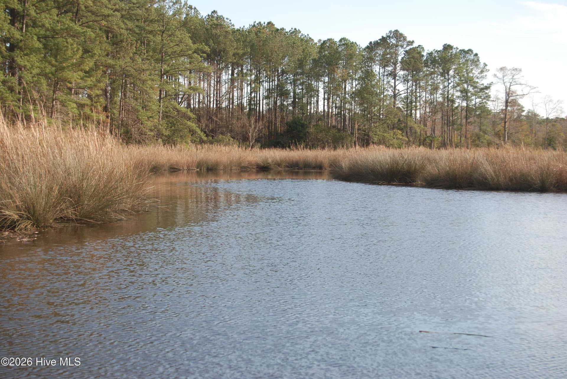 Residential Lot at 255 Wards Lane, Havelock, NC 28532, photo 5 of 8