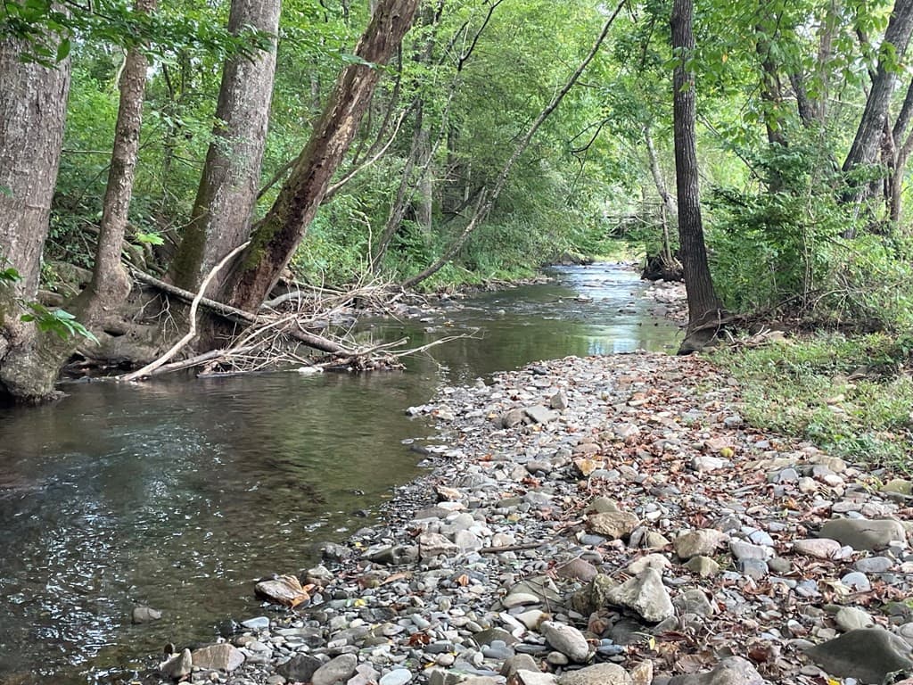 Land at 00 Highway 19, Andrews, NC 28901, photo 15 of 20