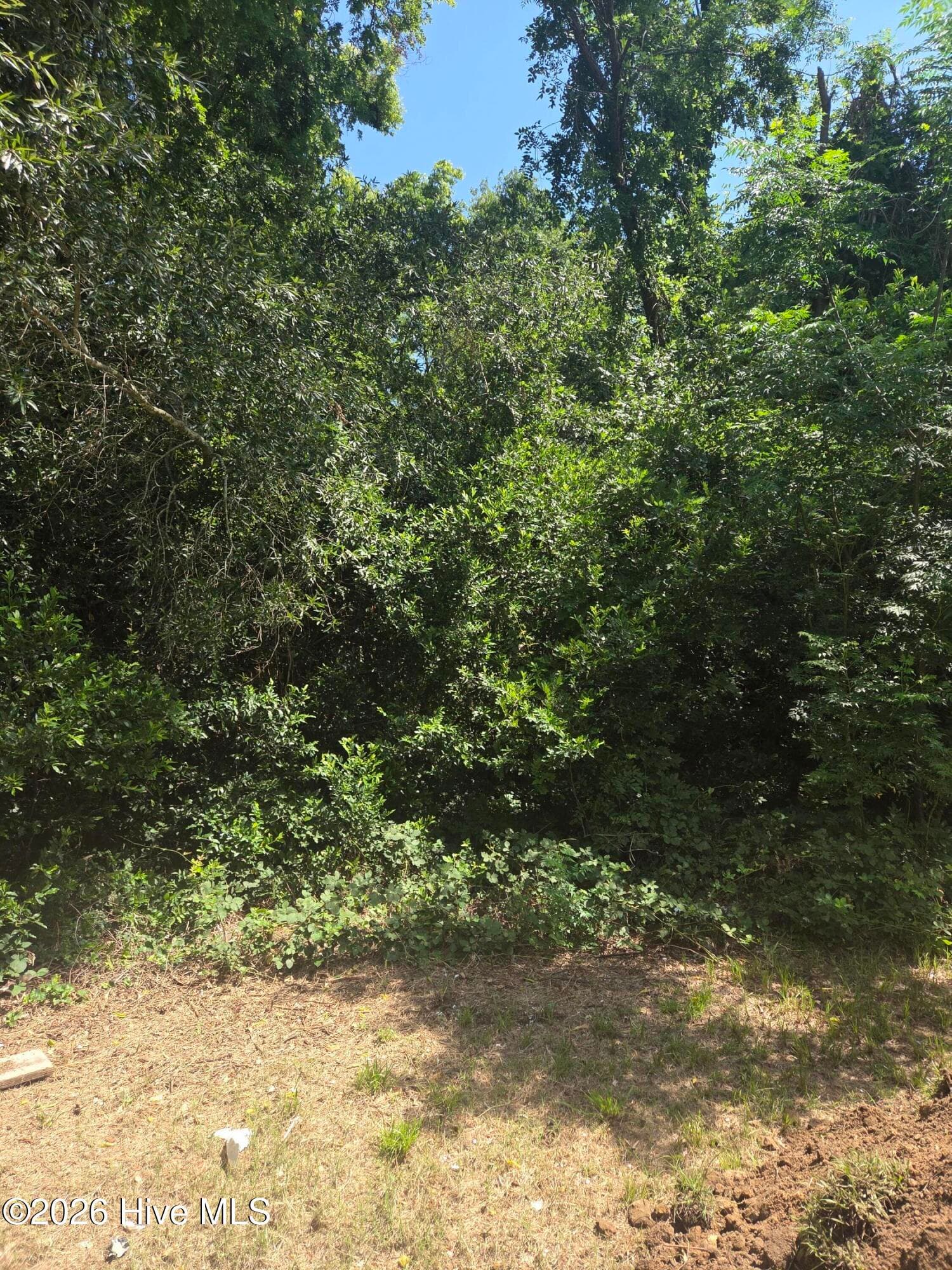 Residential Lot at Tbd N Skipper Street N, Rockingham, NC 28379, photo 5 of 8