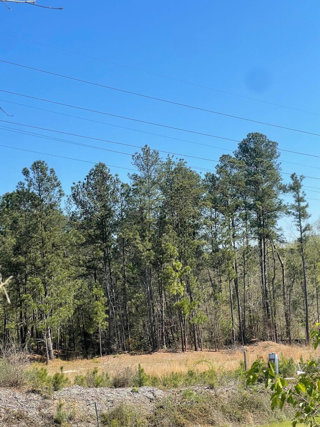 Undeveloped at 617 Hutchinson Drive, North Augusta, SC 29841, photo 6 of 6