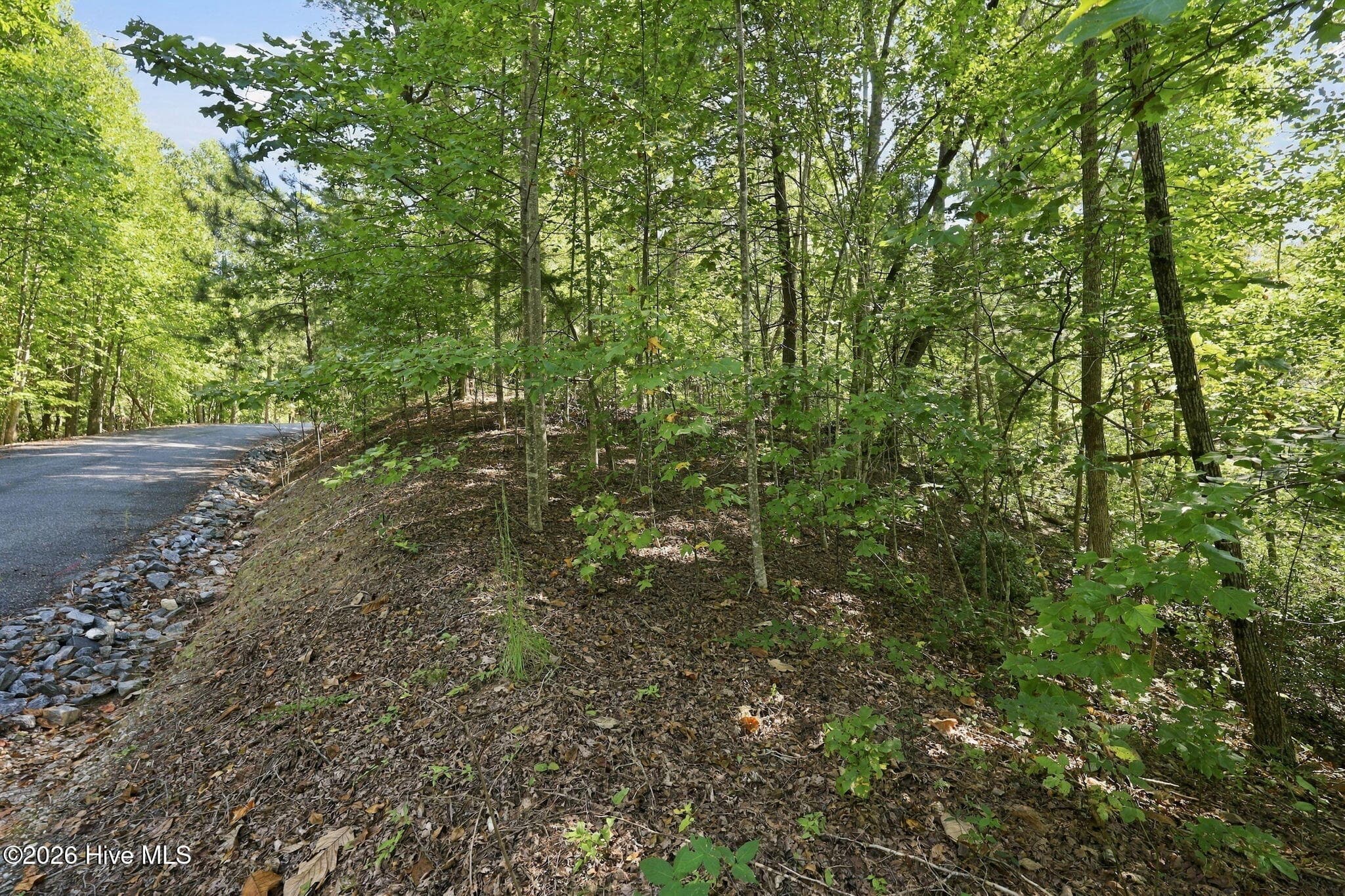 Residential Lot at 0 Nathan Mcdaniel Drive, Nebo, NC 28761, photo 21 of 30