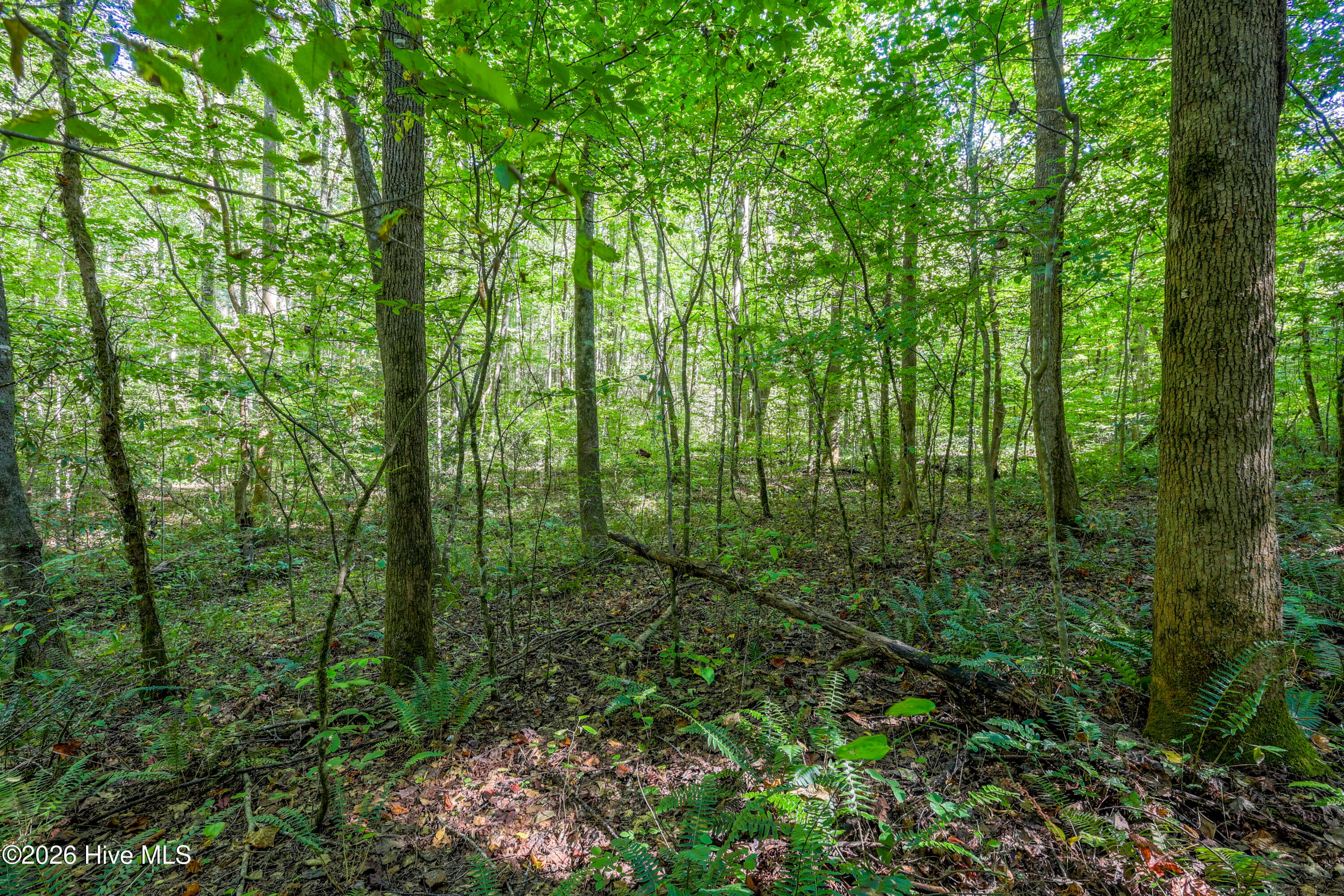 Wooded at 90 Ac Tree House Road, Andrews, NC 28901, photo 5 of 19