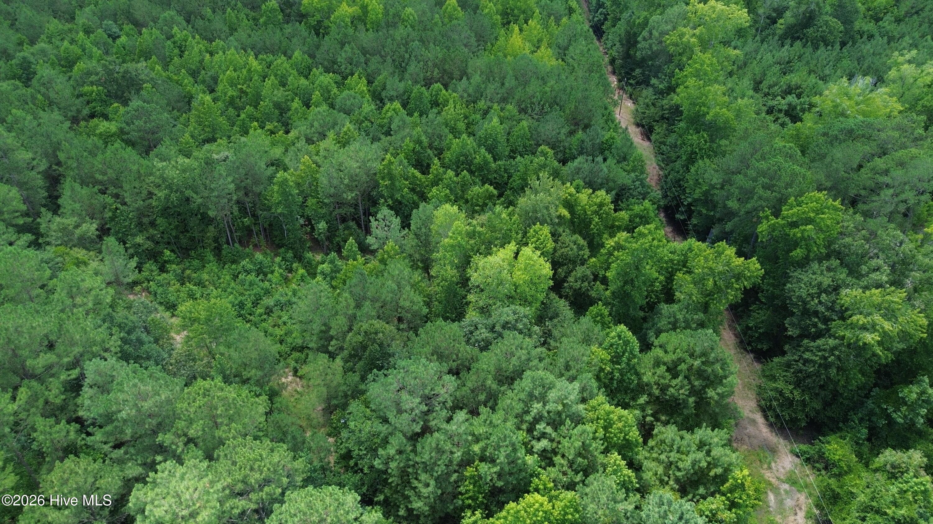 Wooded at Tbd Point Caswell Road, Atkinson, NC 28421, photo 14 of 16