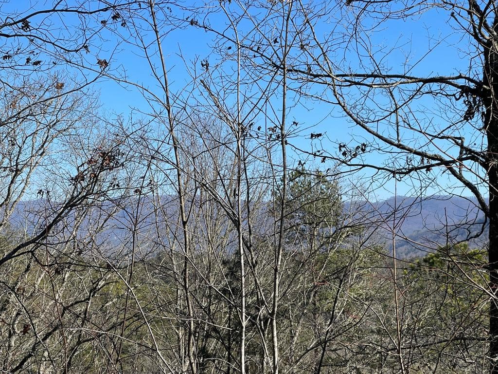 Land at 000 Mistletoe Ridge, Murphy, NC 28906, photo 29 of 31