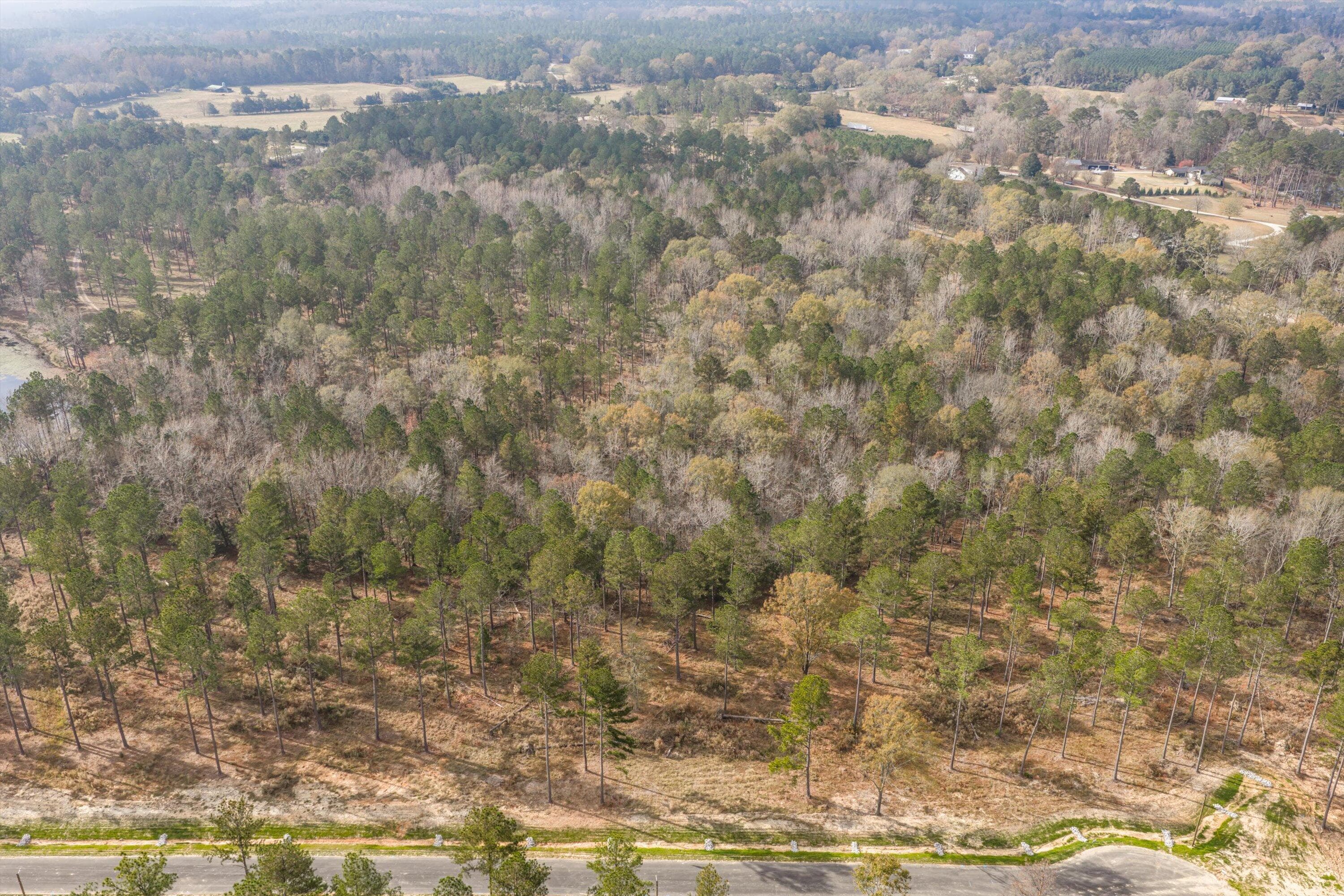 Residential Lot at 158 Beagle Chase Drive, Appling, GA 30802, photo 3 of 7