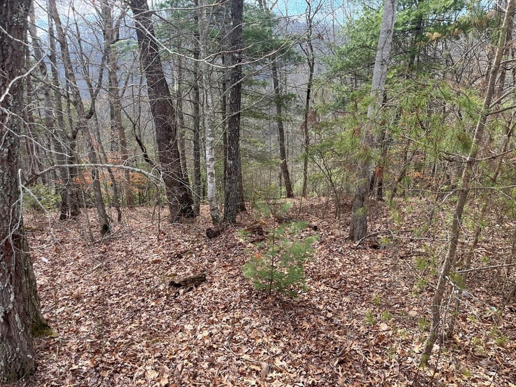 Undeveloped at 300 48 Jernigan Court, Murphy, NC 28906, photo 3 of 12