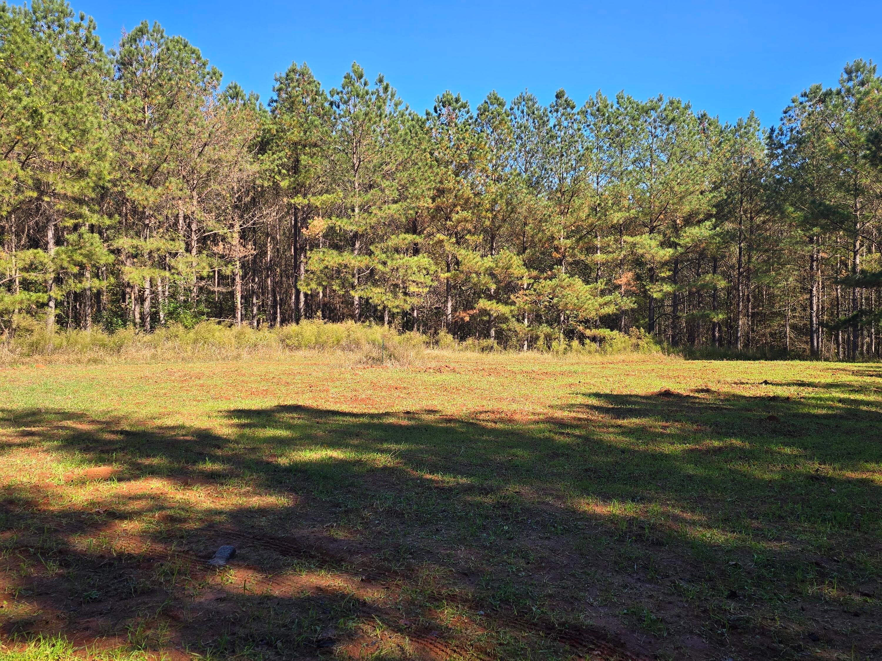 Mixed Use at 7501 Rainey Morris Road, Appling, GA 30802, photo 35 of 47