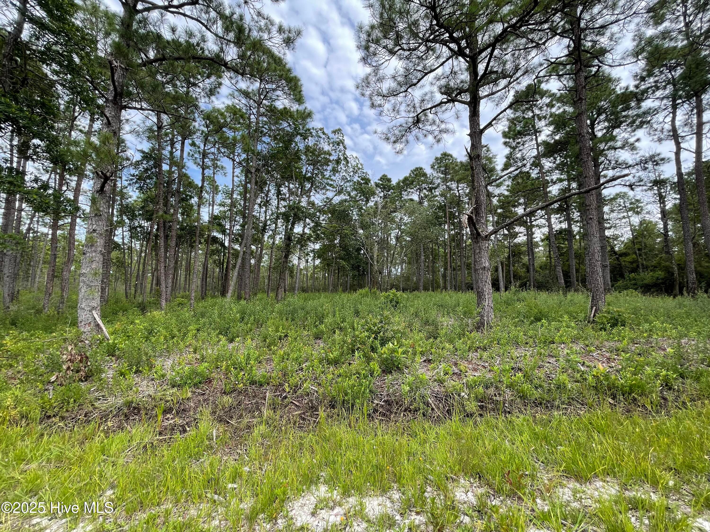 Residential Lot at 811 Brittany Road, Southport, NC 28461, photo 6 of 25
