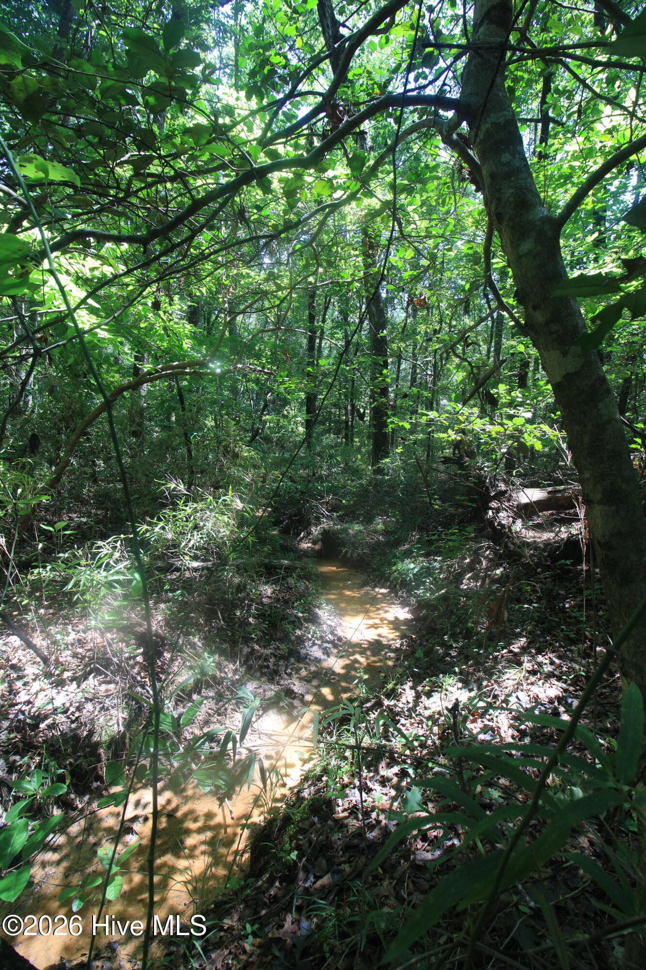 Residential Lot at 0 Crowatan Trail, Carthage, NC 28327, photo 33 of 35