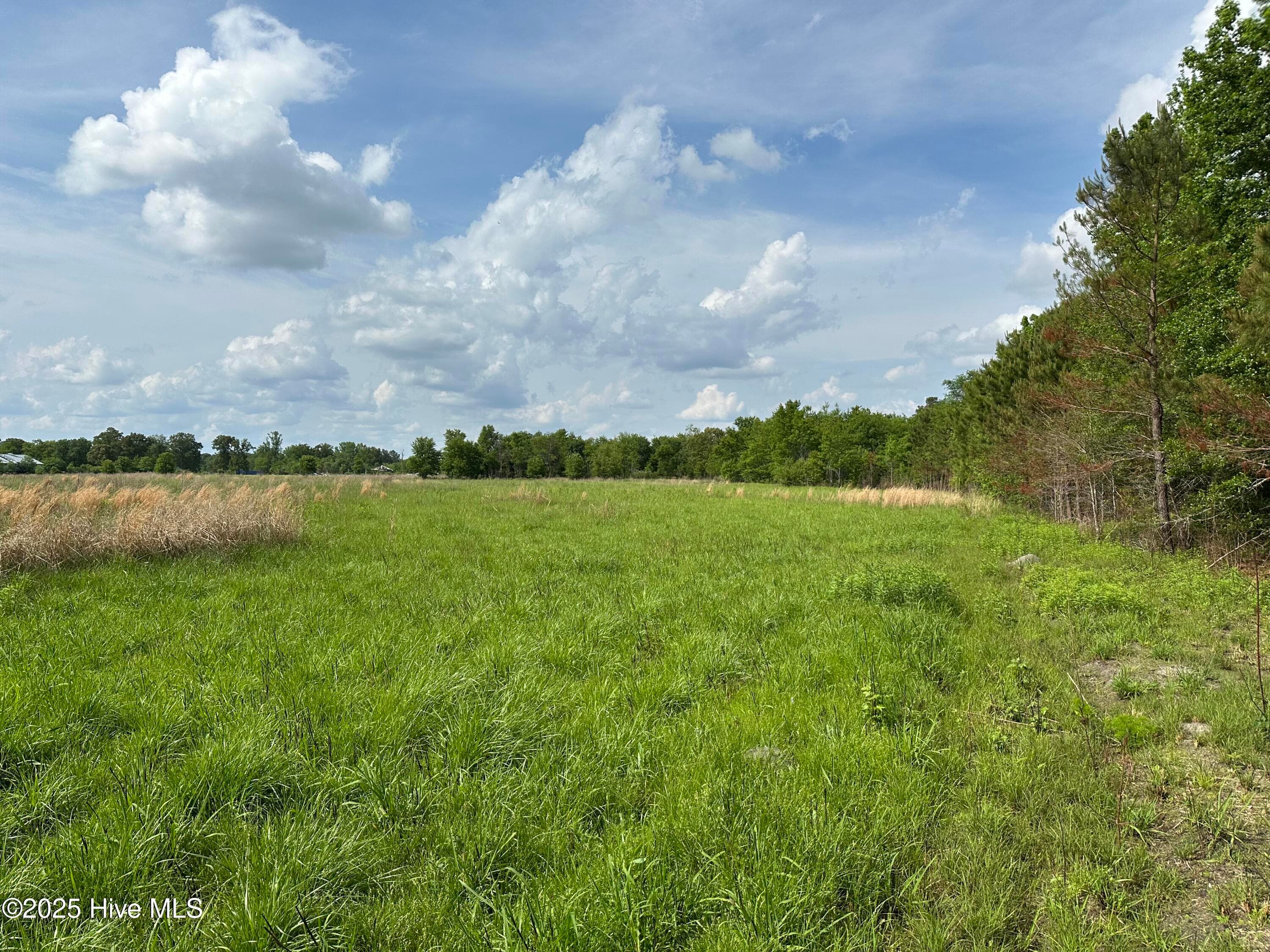 Undeveloped at Tract 2 Mcgirt Road, Maxton, NC 28364, photo 5 of 5