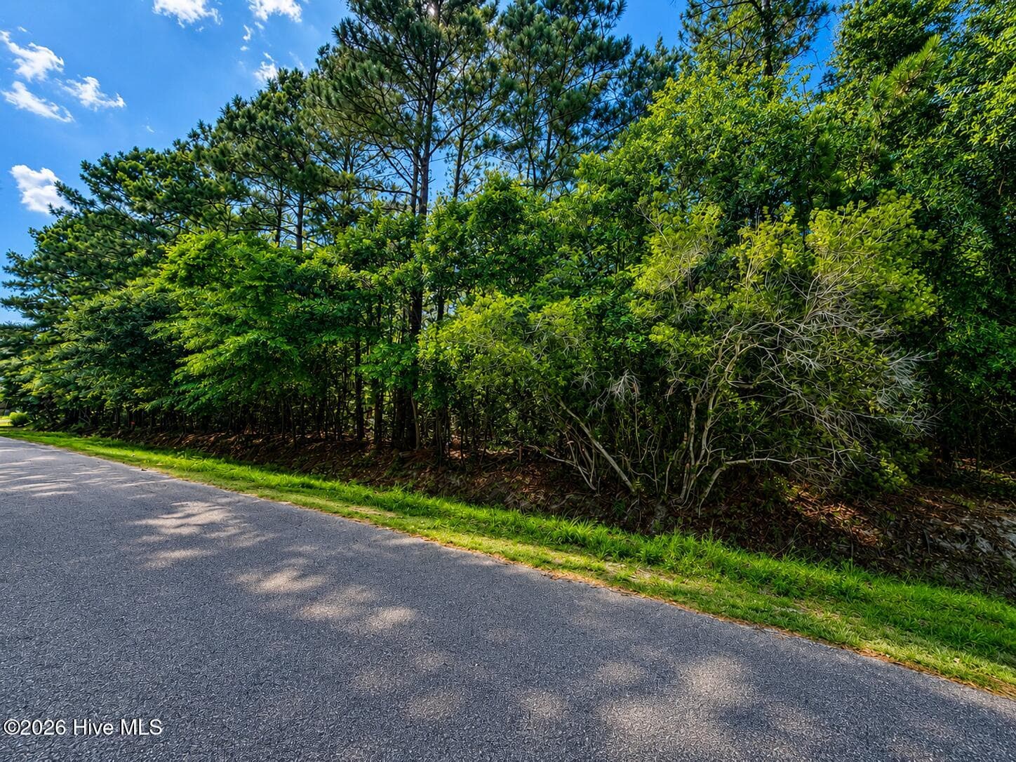 Wooded at 225 24 Pages Creek Drive, Wilmington, NC 28411, photo 2 of 3
