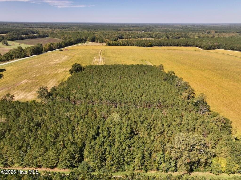 Mixed Use at 0 Spring Hill Road, Scotland Neck, NC 27874, photo 71 of 93