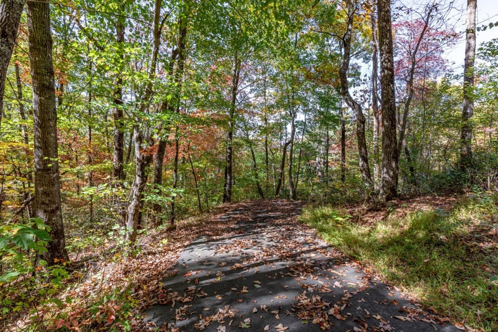 Undeveloped at Lot 38 38 Skyview At Wildlife Acres, Hayesville, NC 28904, Hayesville, photo 6 of 32