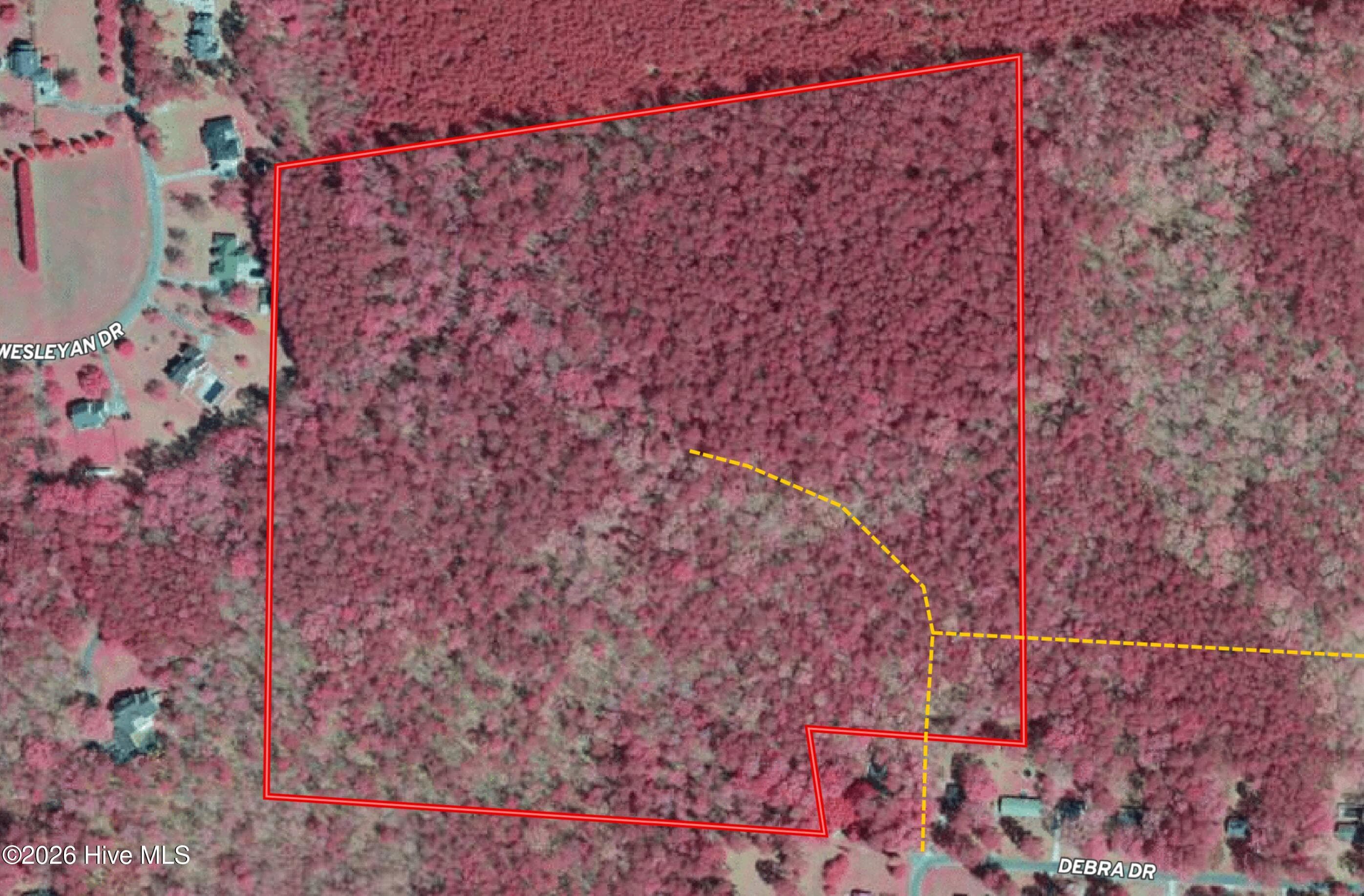 Tbd Donna Drive, Laurinburg, NC 28352