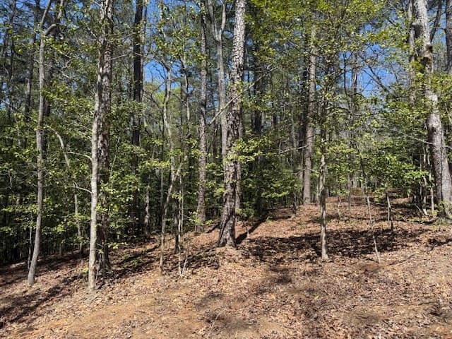 Residential Lot at Lot 2 2 Lynae Lane, Murphy, NC 28906, photo 4 of 5