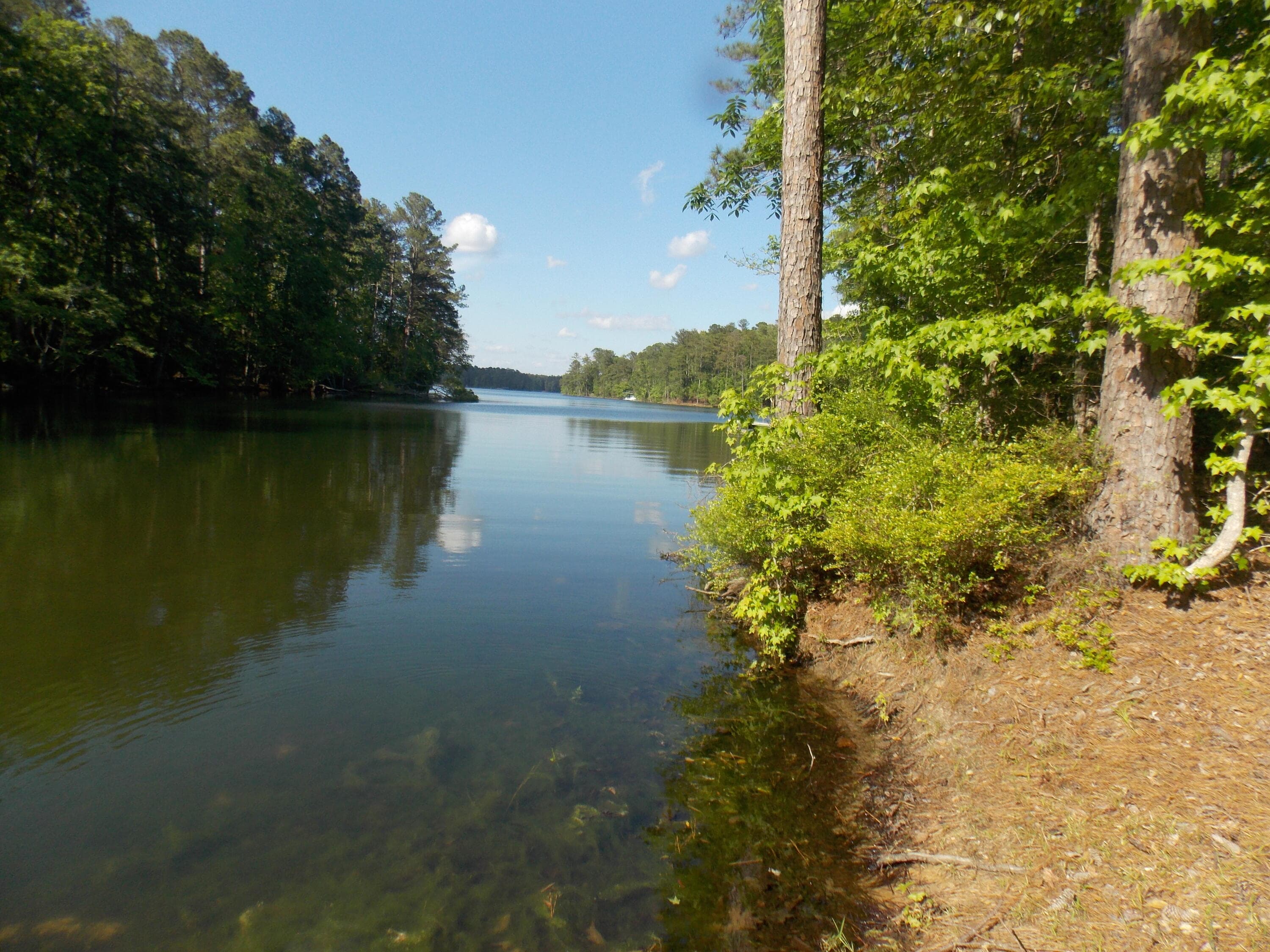 13 13 Riverview Ct, Lincolnton, GA 30817