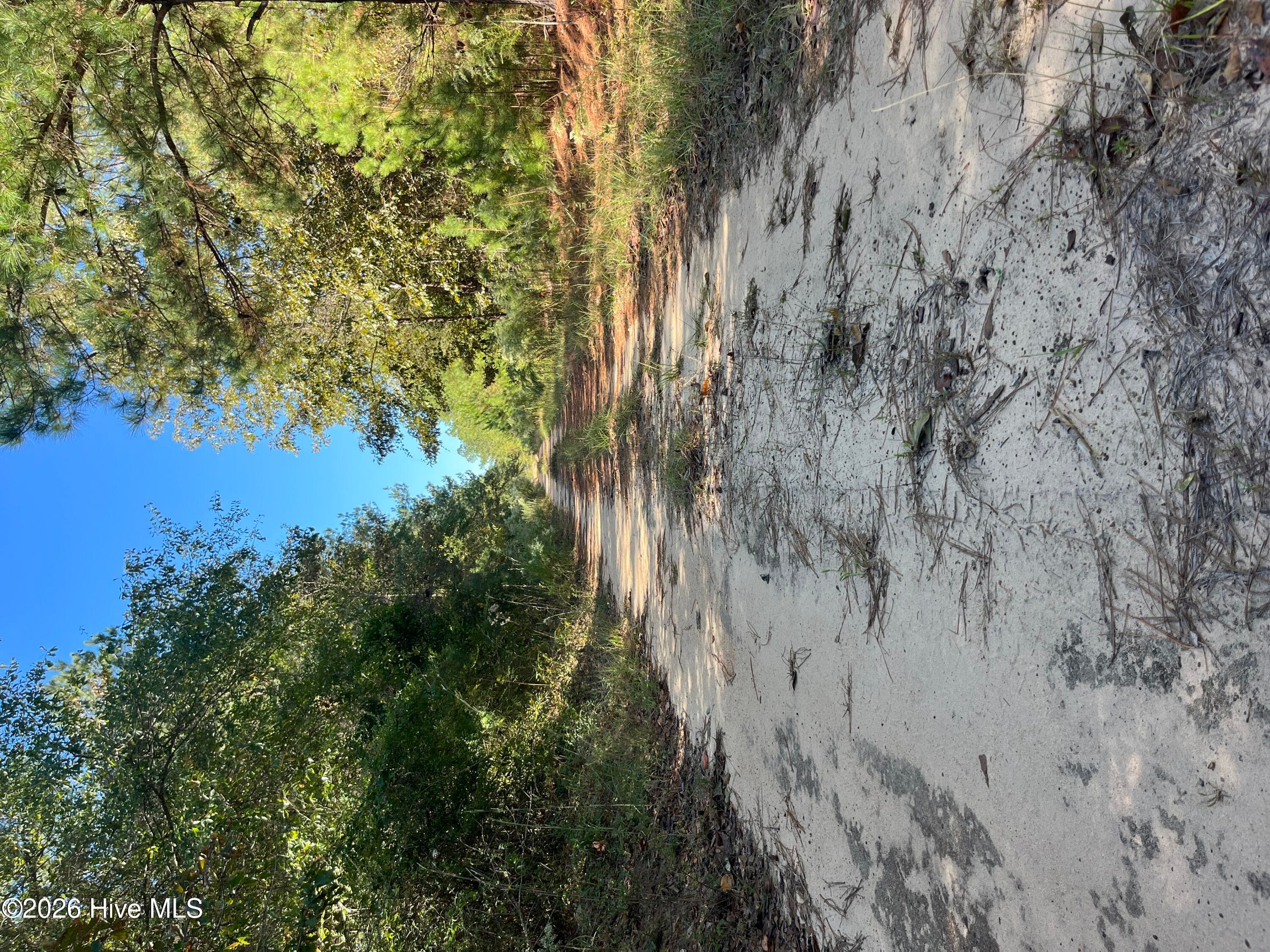 Residential Lot at Lot 9 Jasper Davis Road, Avera, GA 30803, photo 2 of 21