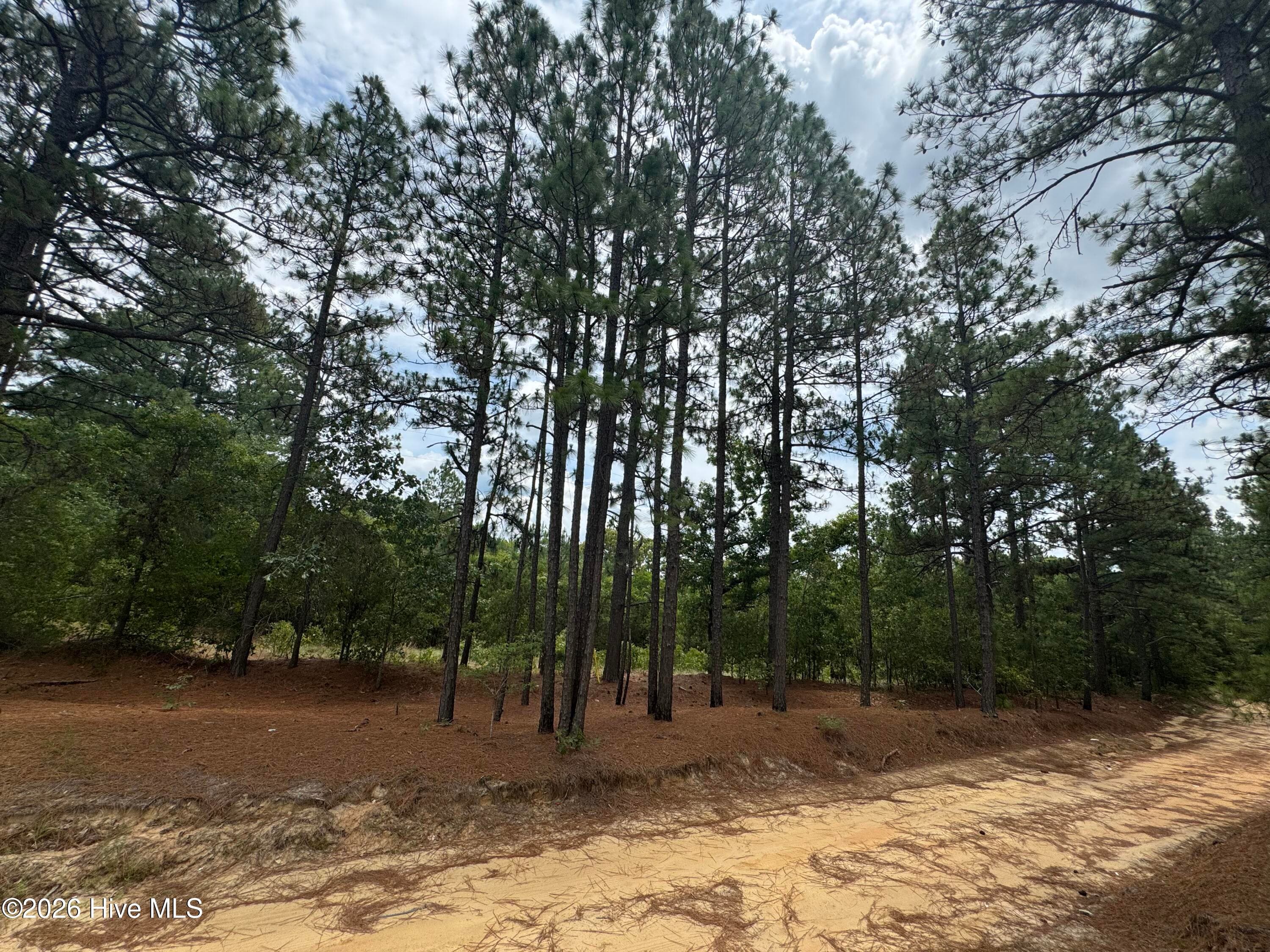 Undeveloped at 000 Lizzie Jeter Lane, Cameron, NC 28326, photo 2 of 8