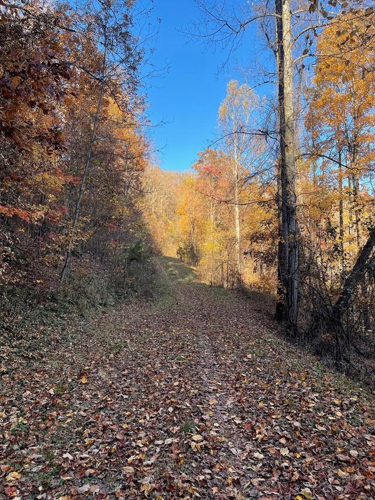 Residential Lot at Lot 51j 51J Indian Trail, Hayesville, NC 28904, Hayesville, photo 3 of 4