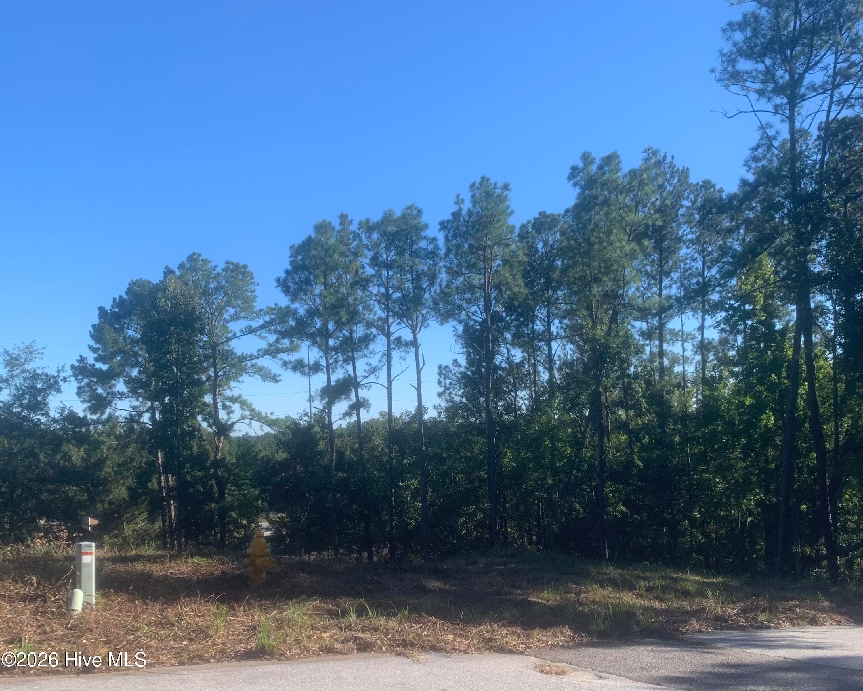 Residential Lot at 2331 Rutherford Avenue, Augusta, GA 30906, photo 3 of 11