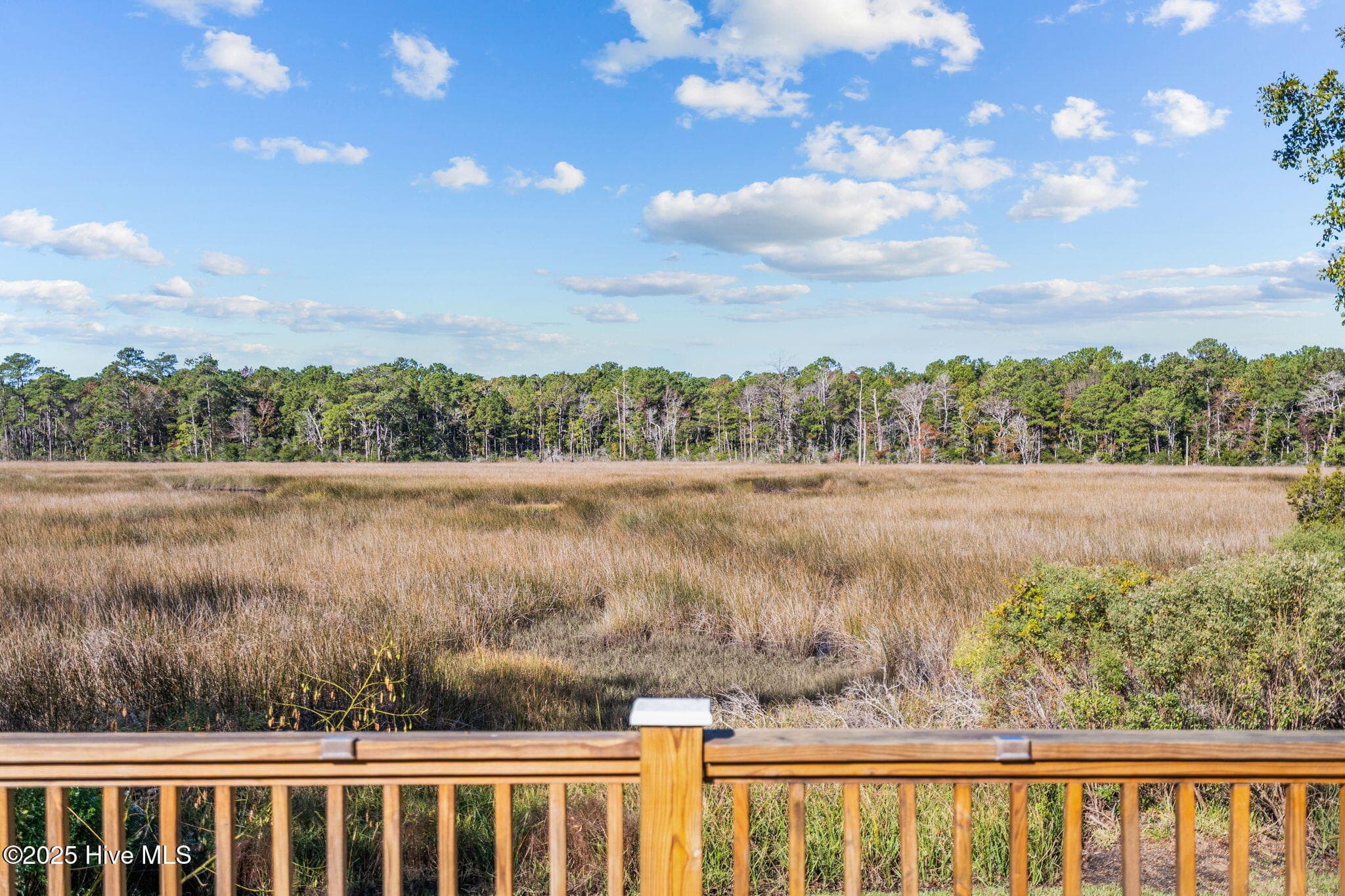 BACK DECK - 2037 Oxpen Road SW, Supply, NC 28462
