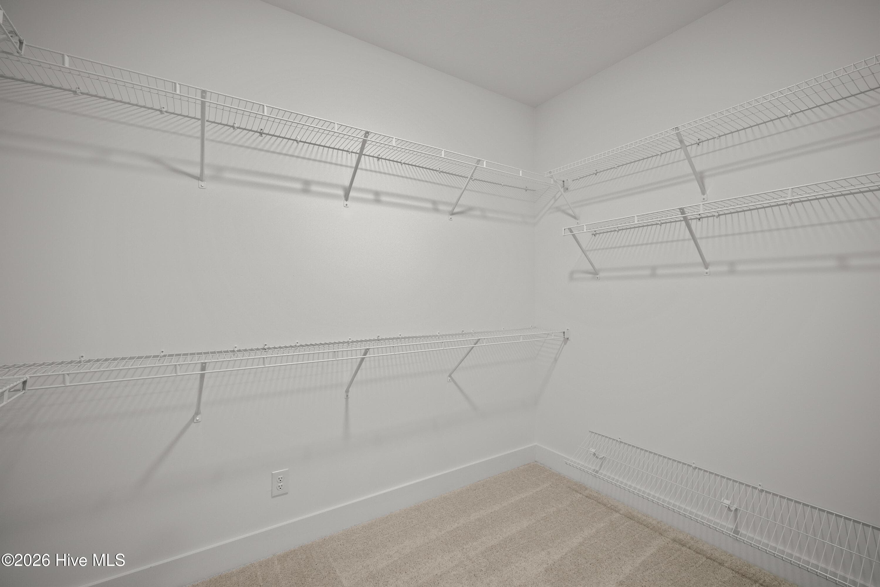 Massive walk in closet! - 1096 Bellingham Drive, Beech Island, SC 29842