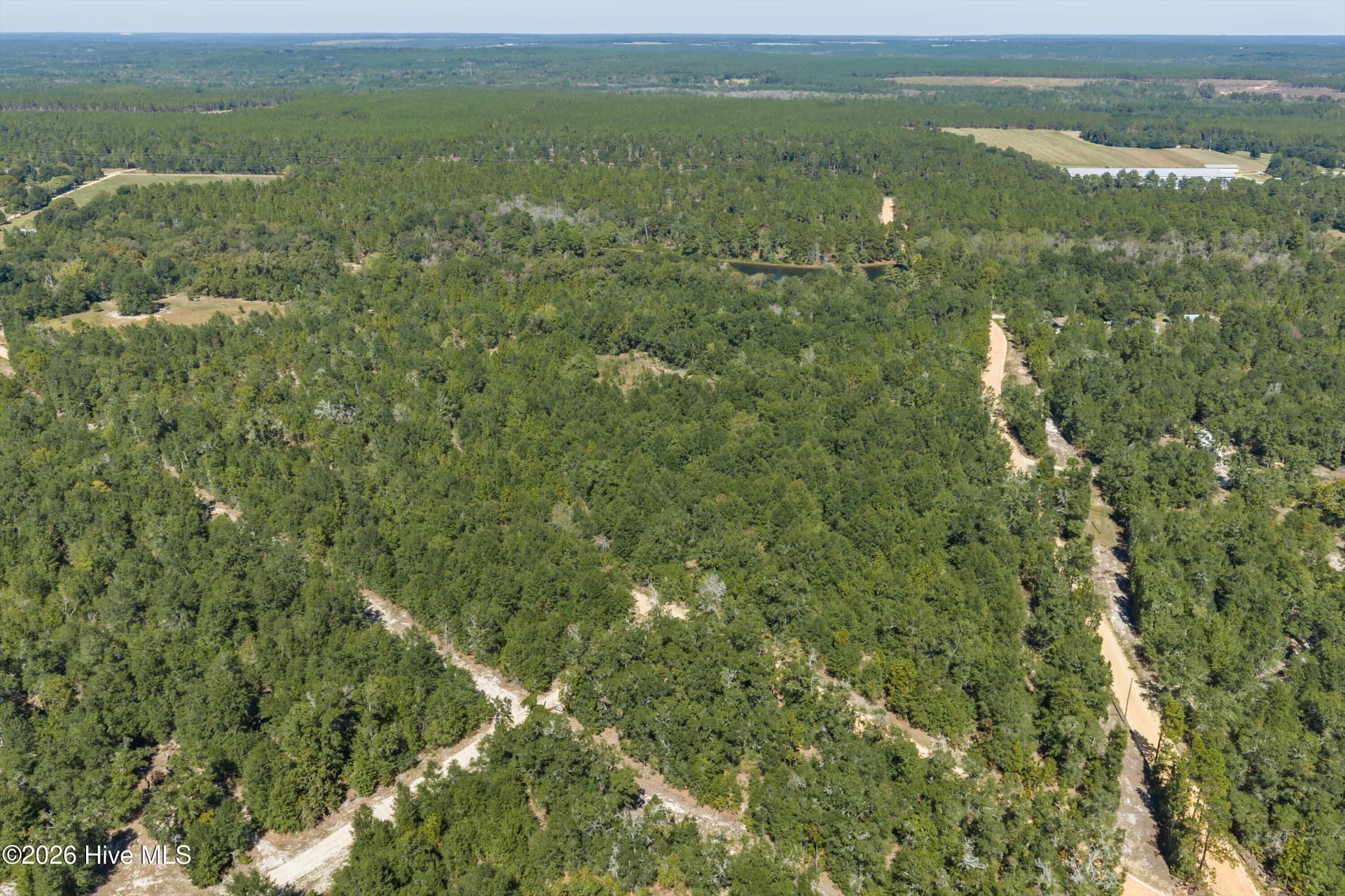 Residential Lot at 000.0 Mary Rawls Road, Wagener, SC 29164, photo 16 of 21