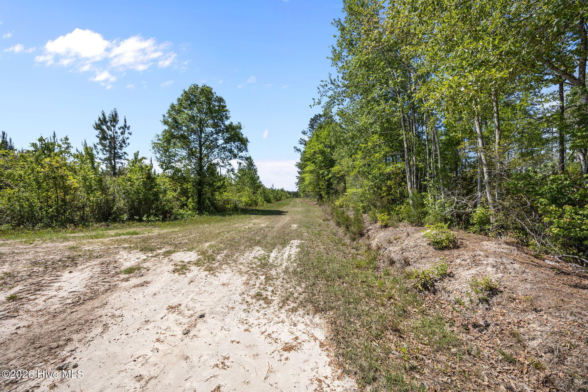 Farm at 7529 Sidney-Cherry Grove Road, Tabor City, NC 28463, photo 13 of 15