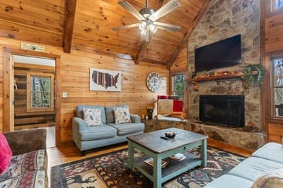 Single Family Residence at 162 Little Falls Drive, Mineral Bluff, GA 30559, photo 12 of 38