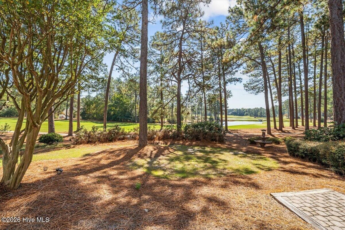 Townhouse at 50 Cochrane Castle Circle, Southern Pines, NC 28387, photo 5 of 57