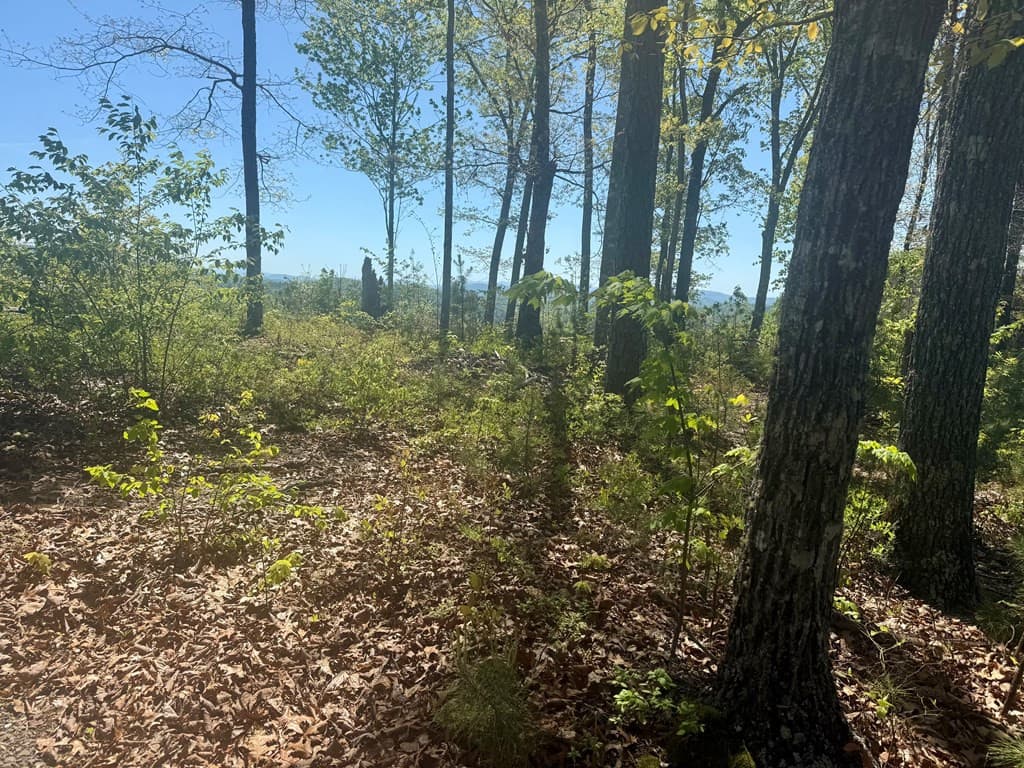Residential Lot at 51 51 Wayah Ridge, Murphy, NC 28906, photo 4 of 6