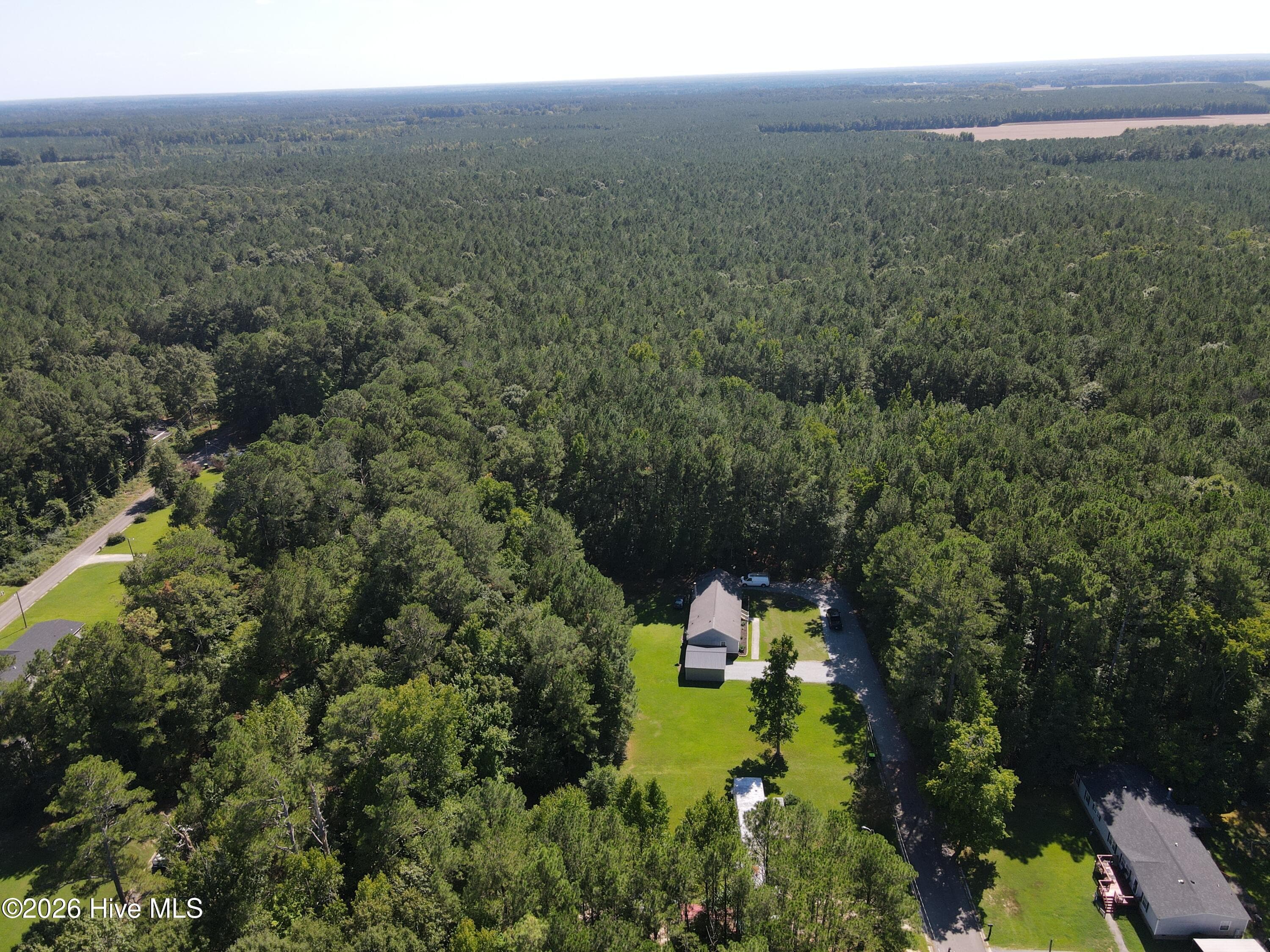Wooded at Tbd Nc 305, Jackson, NC 27845, photo 8 of 9