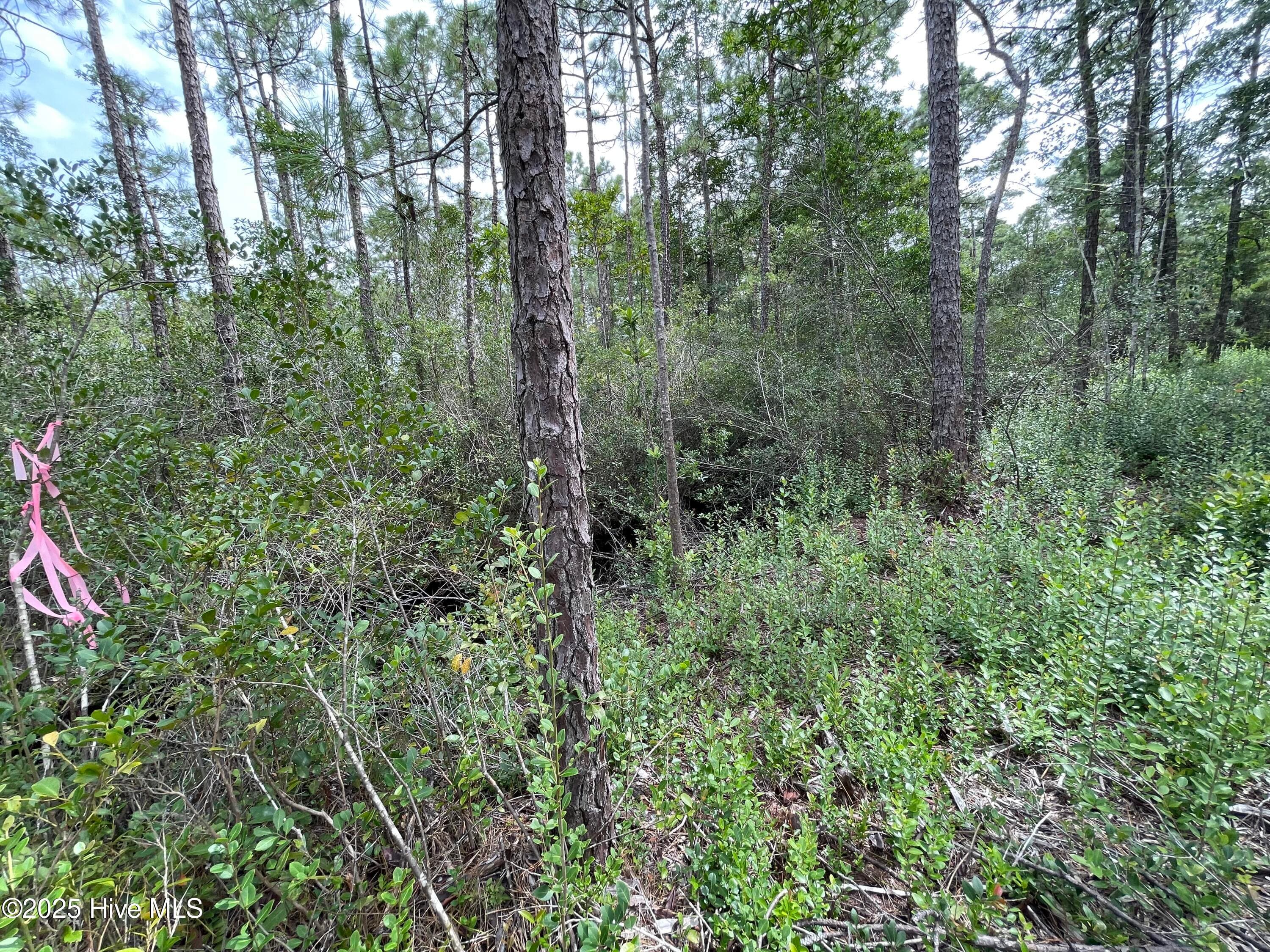 Residential Lot at 811 Brittany Road, Southport, NC 28461, photo 15 of 25