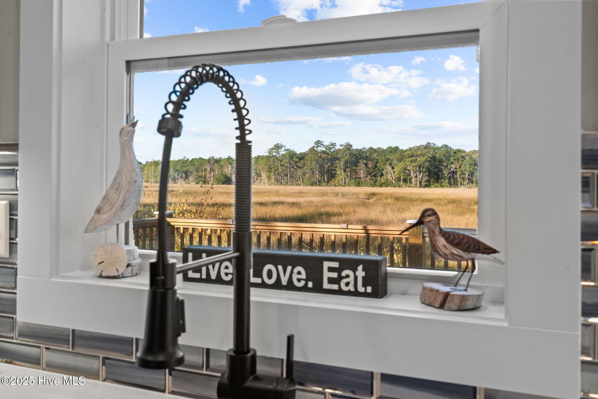 KITCHEN SINK VIEWS! - 2037 Oxpen Road SW, Supply, NC 28462