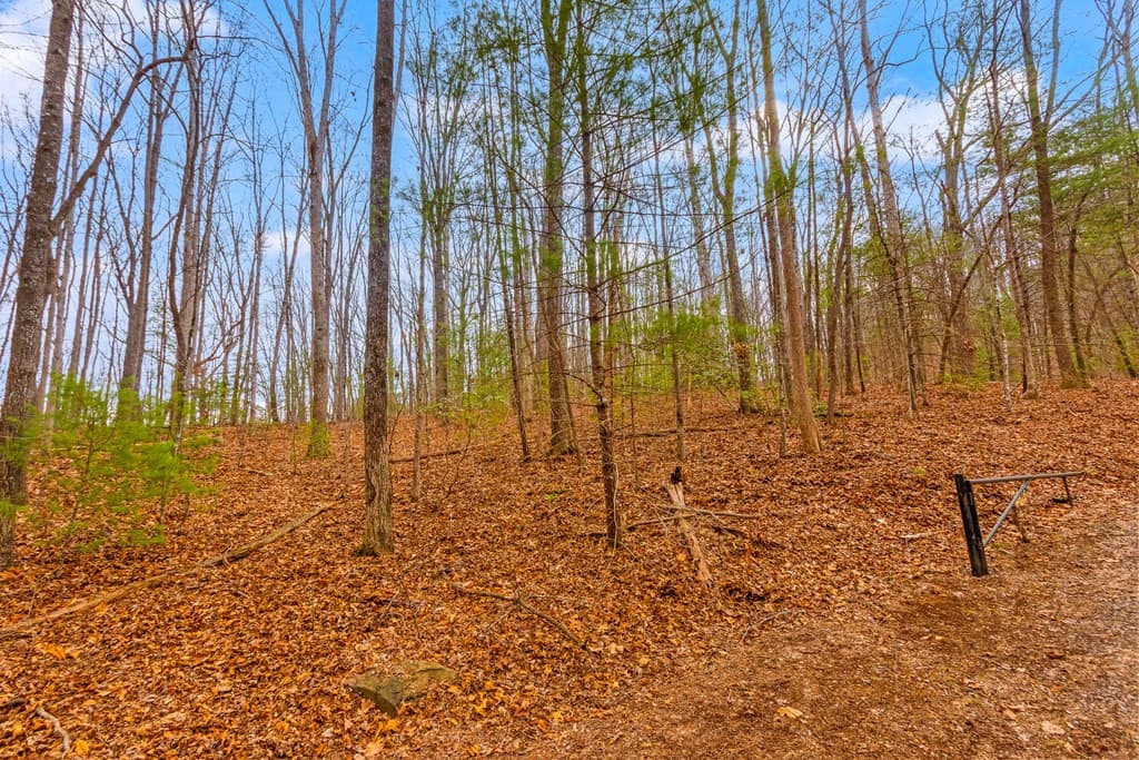 1.03 Ac Guy Eller Road, Murphy, NC 28906