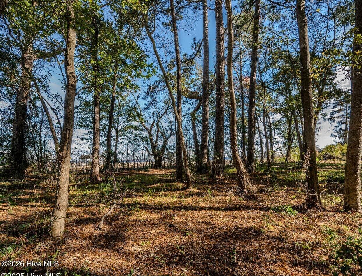 Residential Land at 137-140 137-140 Near 3461 Waccamaw Road S, Lake Waccamaw, NC 28450, photo 14 of 17