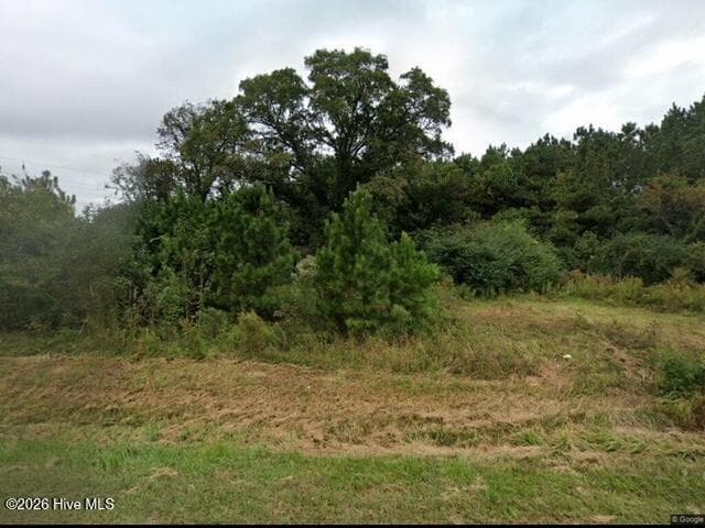 Unimproved Land at 5572 S Nc 41 Highway, Wallace, NC 28466, photo 2 of 2