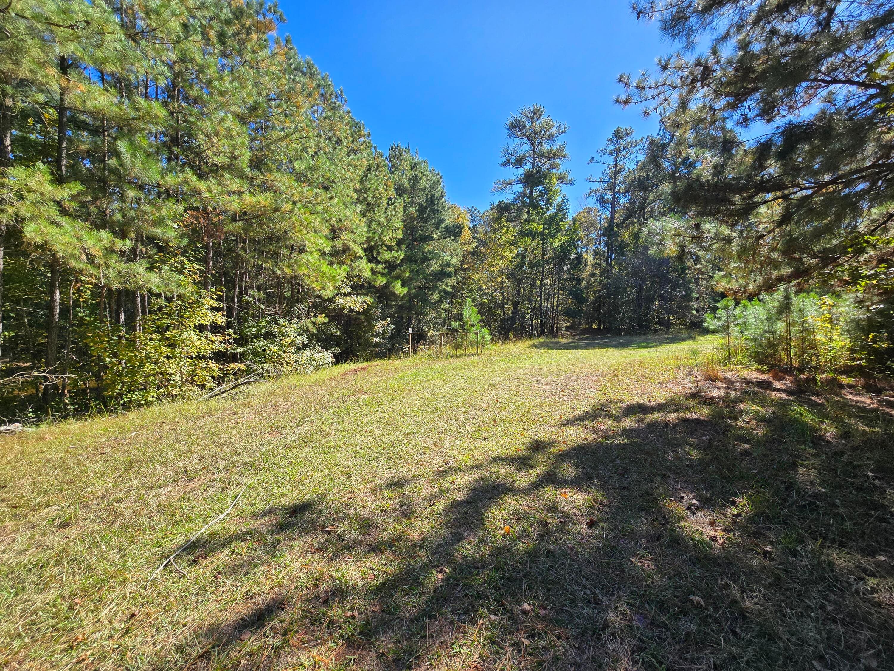 Mixed Use at 7501 Rainey Morris Road, Appling, GA 30802, photo 25 of 47