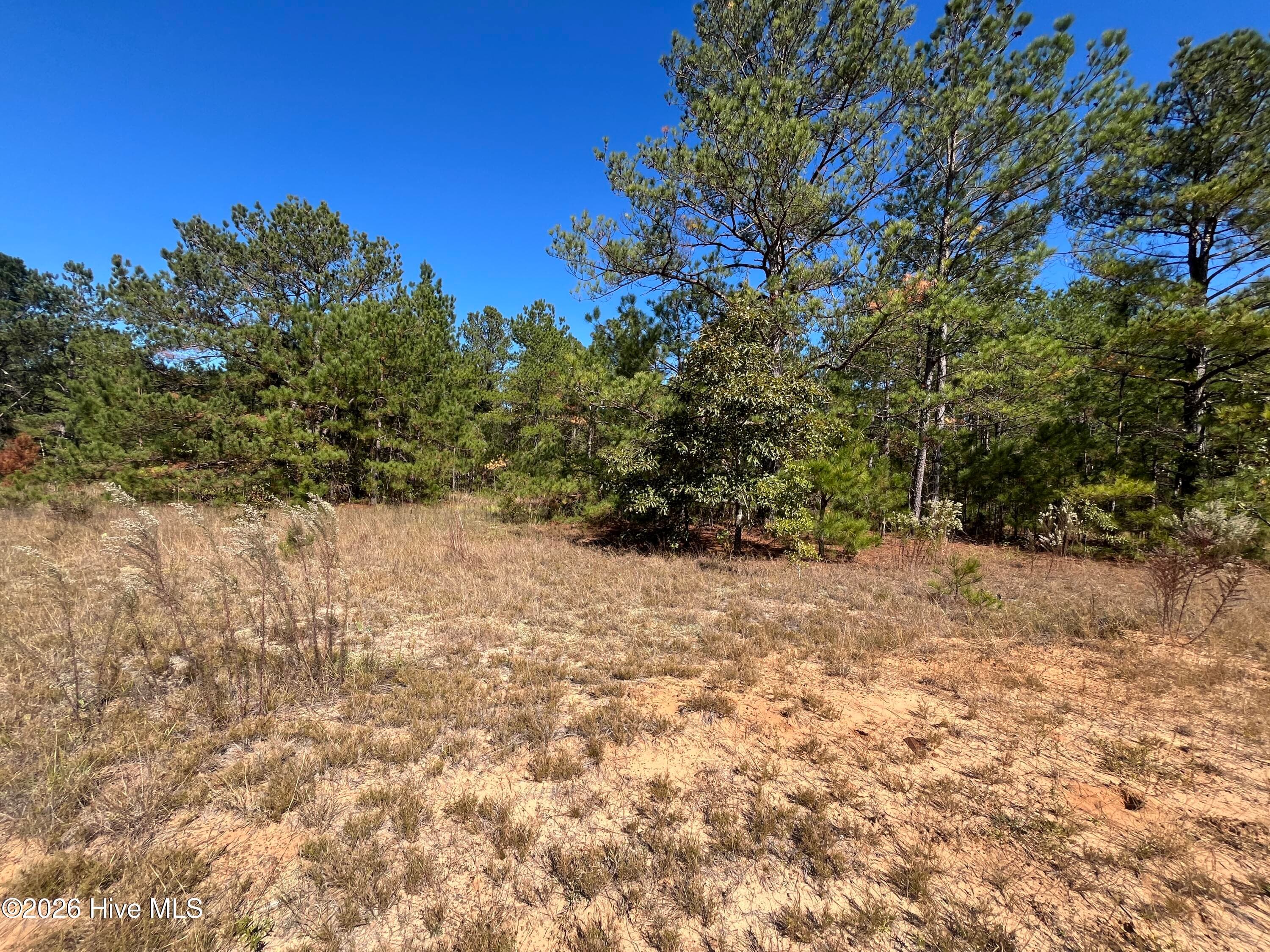 Residential Lot at Lot 9 Jasper Davis Road, Avera, GA 30803, photo 3 of 21