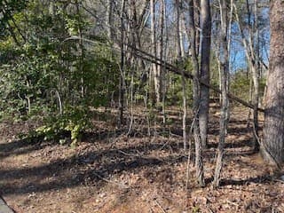 Residential Lot at Lot 2e 2E The Woodlands, Hayesville, NC 28904, photo 3 of 6