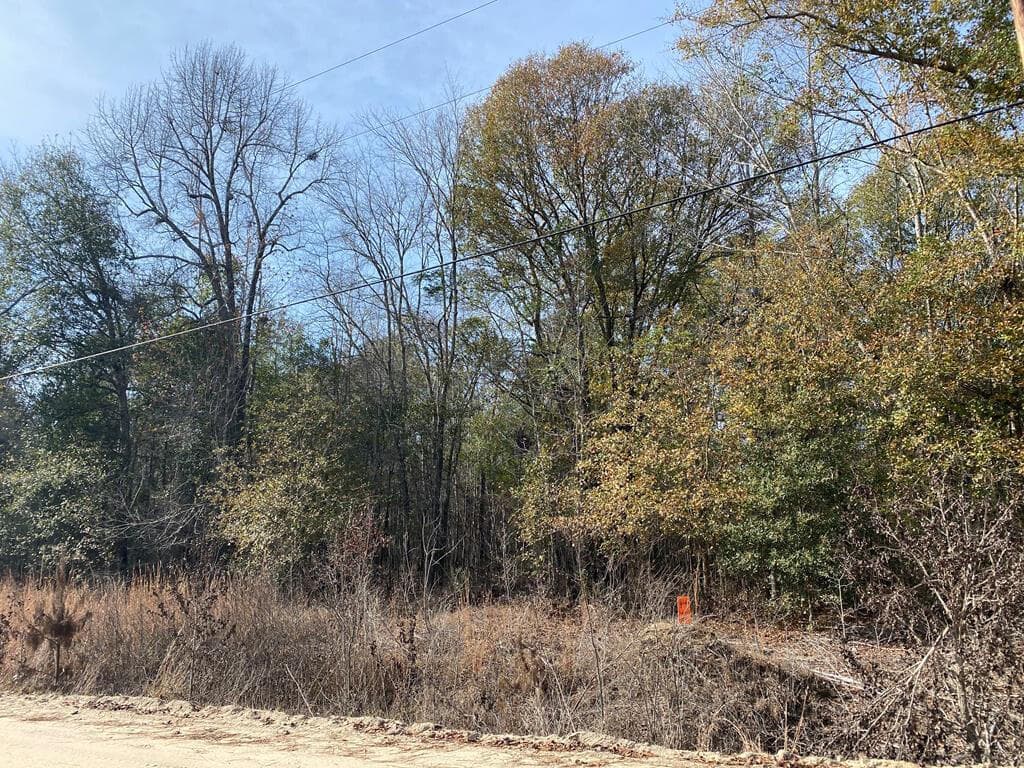 Lot 14 14 Robin Boulevard, Swainsboro, GA 30401