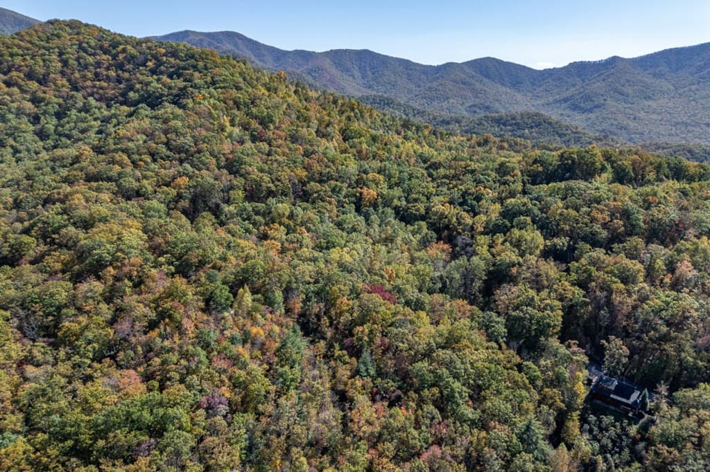 Undeveloped at Lot 38 38 Skyview At Wildlife Acres, Hayesville, NC 28904, Hayesville, photo 21 of 32