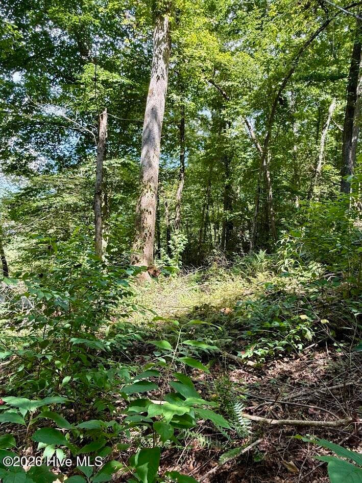 Residential Lot at Lots 5 & 6 Jasmine Drive, Marble, NC 28905, photo 16 of 23