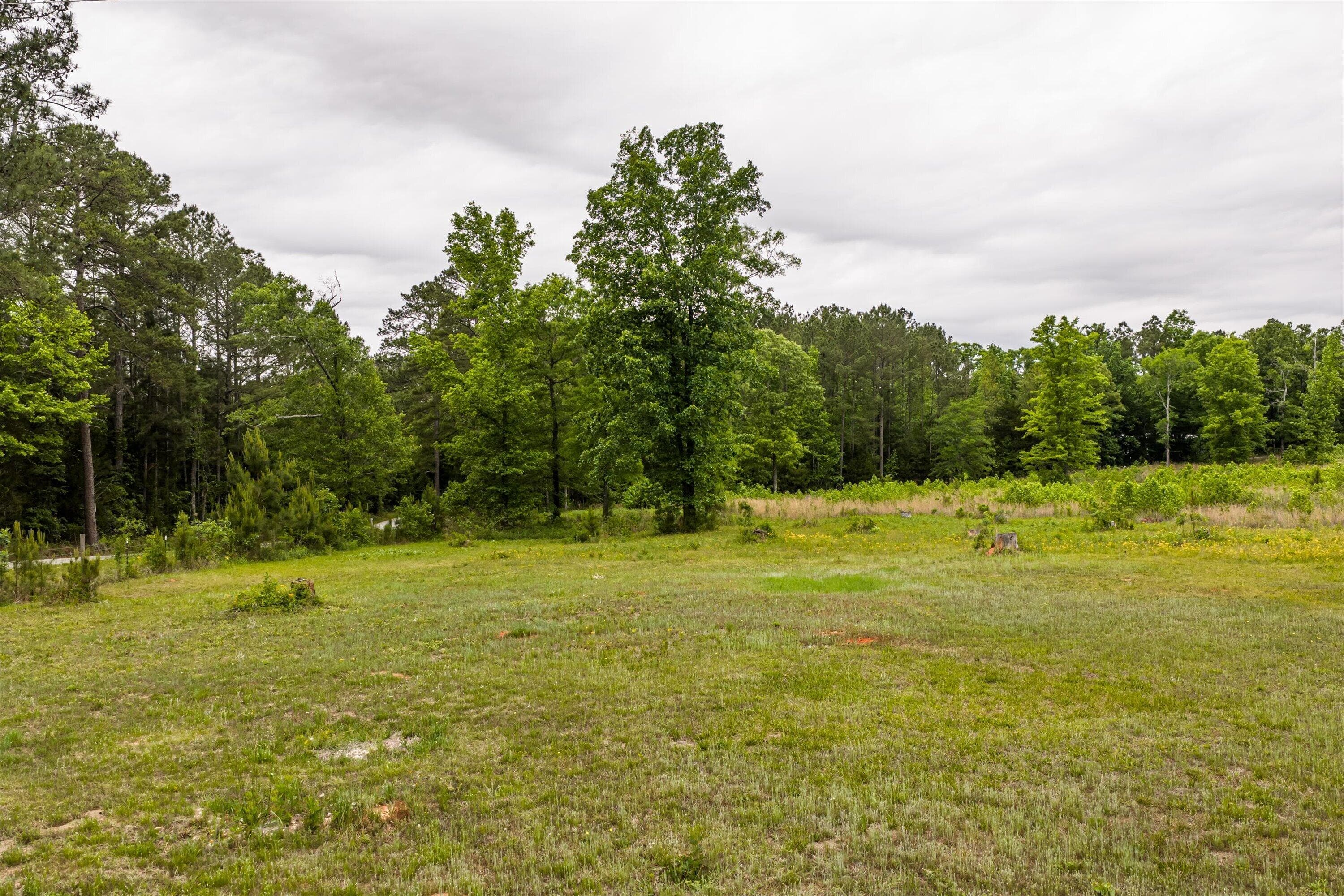 Mixed Use at 3776 Mt Zion Church Road, Lincolnton, GA 30817, photo 38 of 39