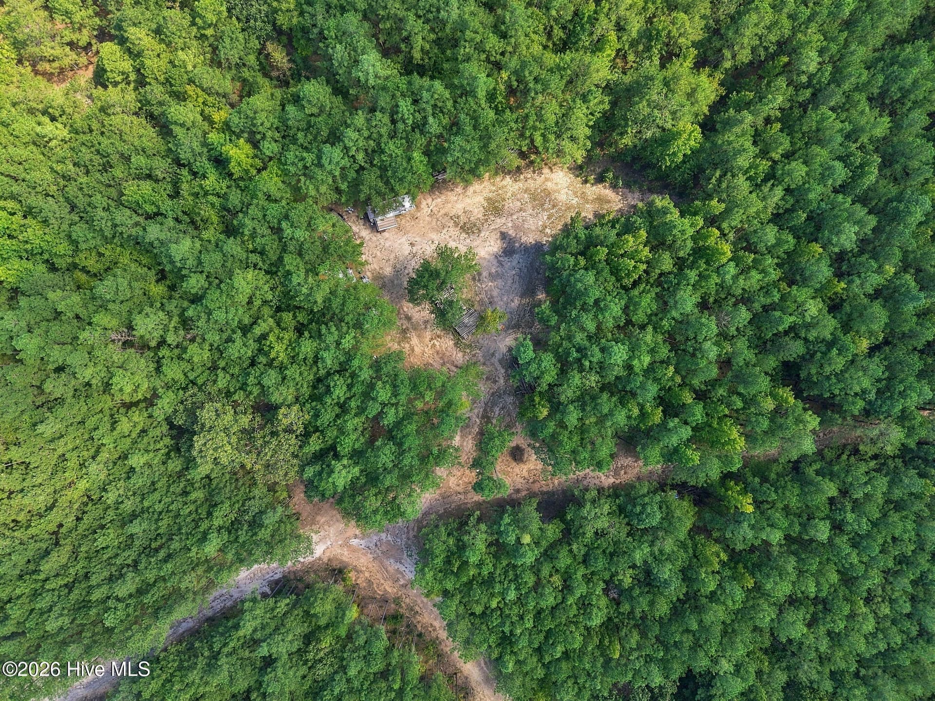 Undeveloped at 260 Full Bright Lane, Cameron, NC 28326, photo 10 of 15