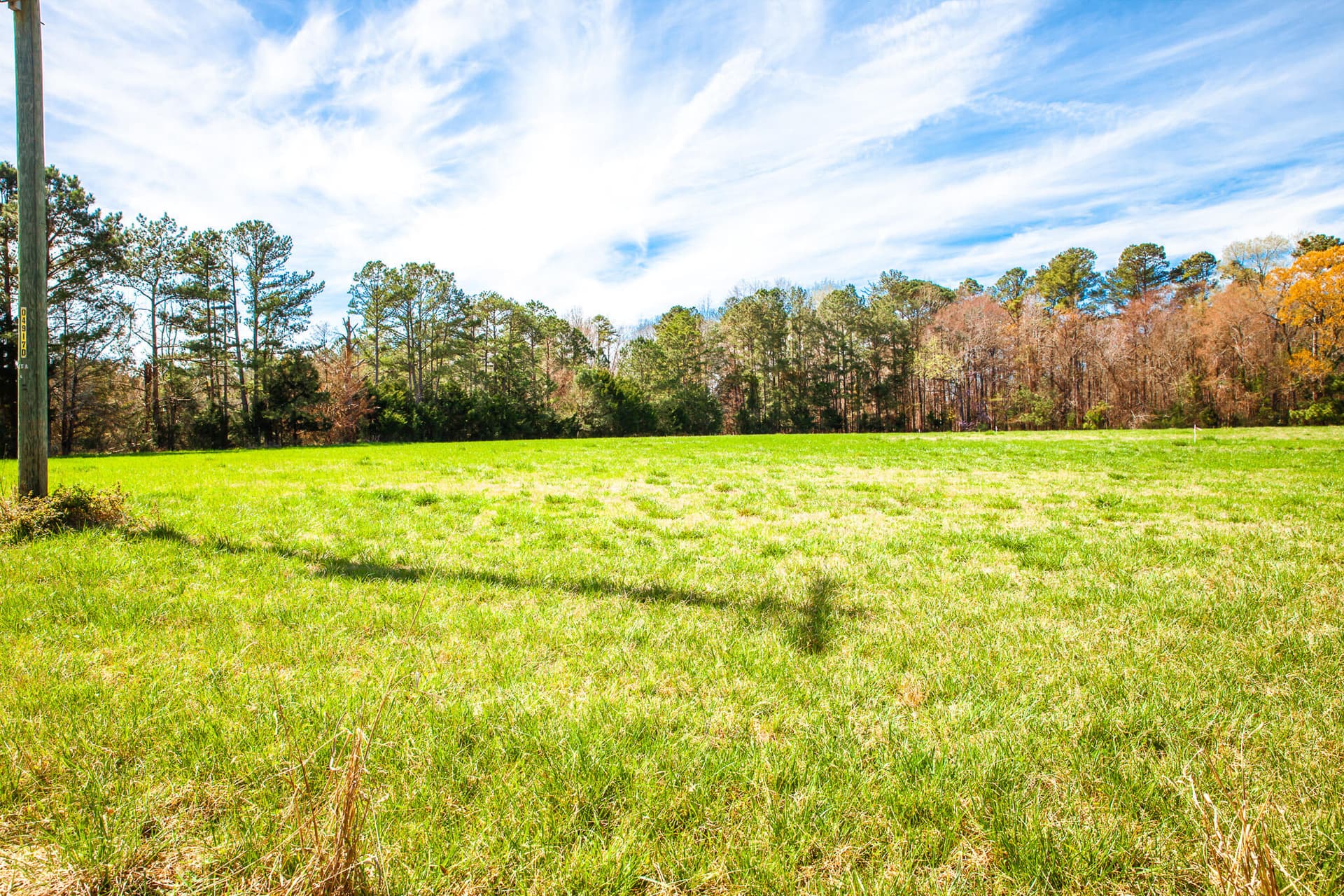 Undeveloped at 3520 3 Mistletoe Rd Road, Appling, GA 30802