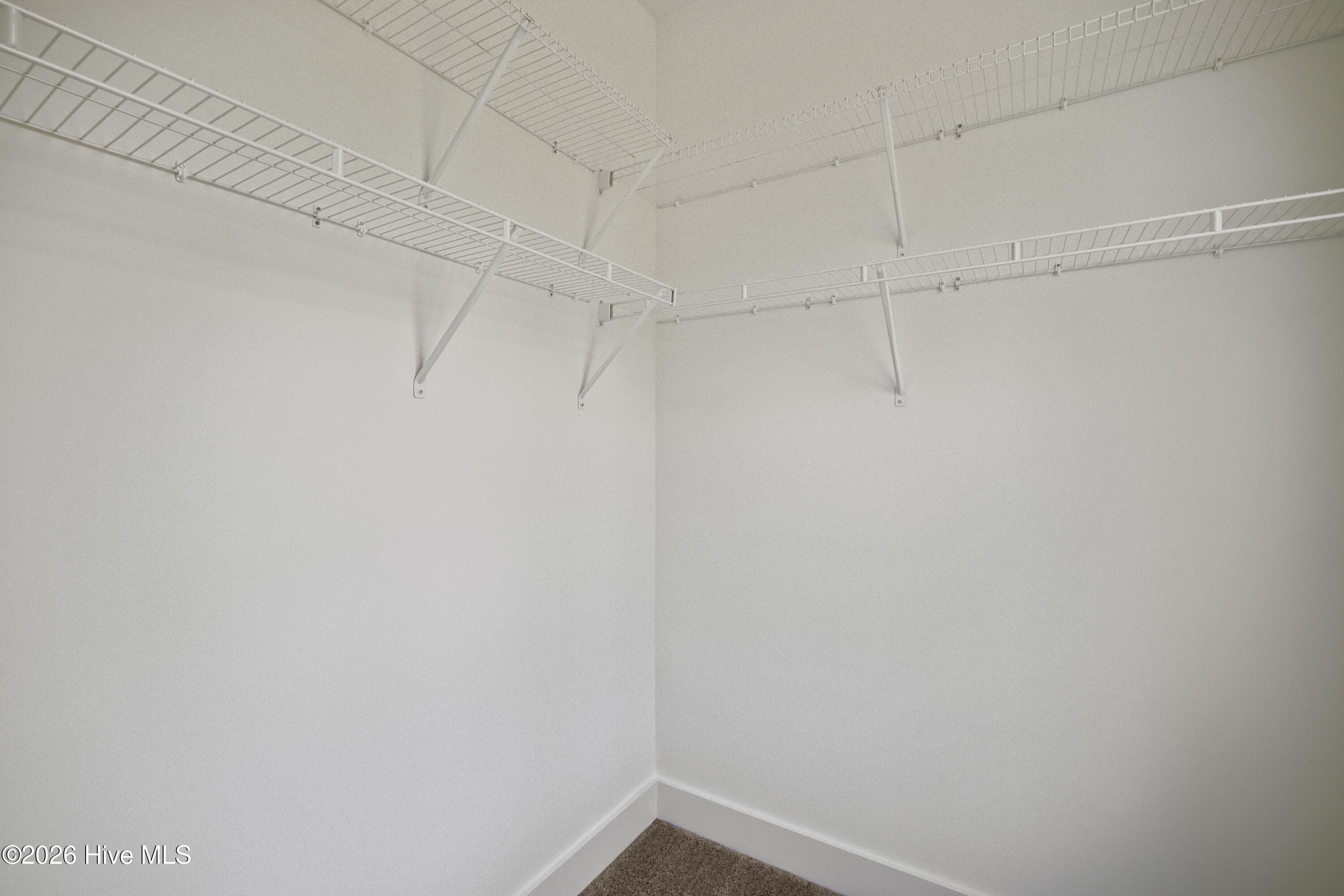 Bedroom 4 walk in closet - 1644 Bellingham Drive, Beech Island, SC 29842