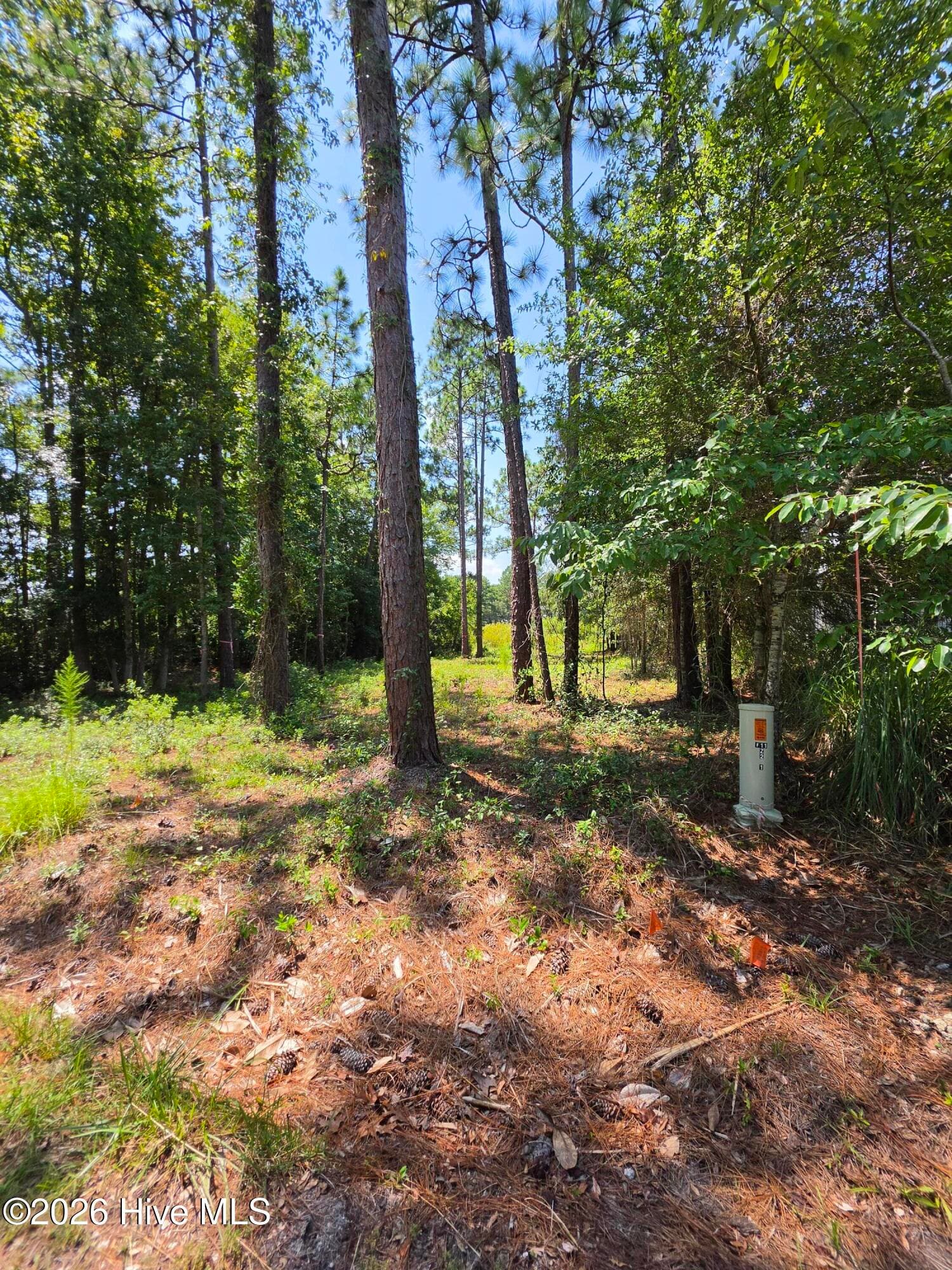 LOT 44 , PINE SHORES DRIVE - 44 Pine Shores Drive, Southport, NC 28461