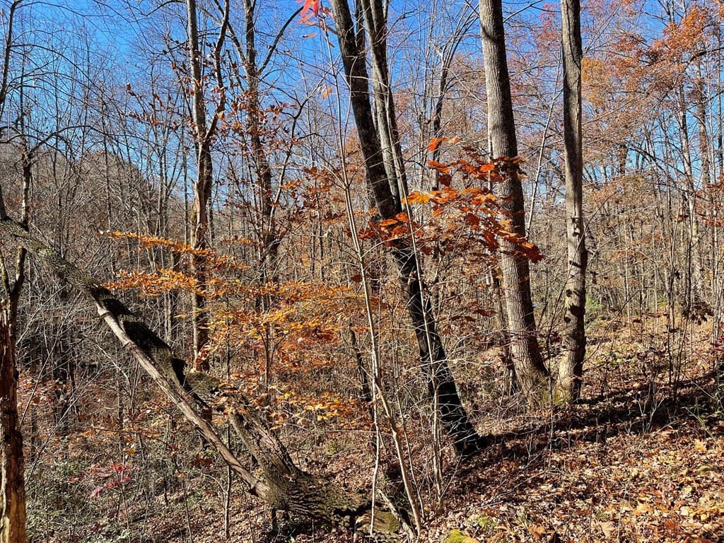 Tbd 69J + Ashe Knob Drive, Hayesville, NC 28904
